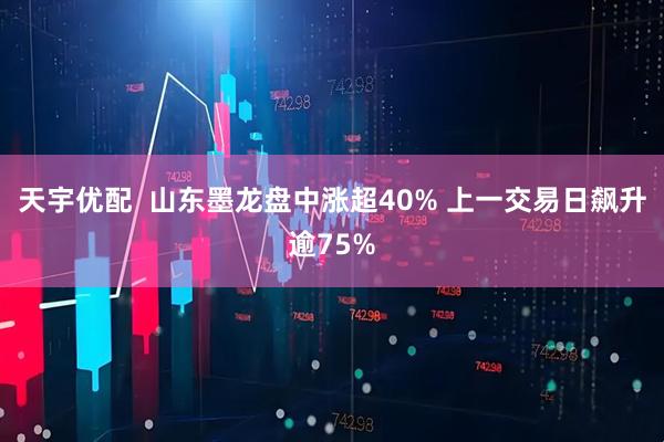 天宇优配  山东墨龙盘中涨超40% 上一交易日飙升逾75%