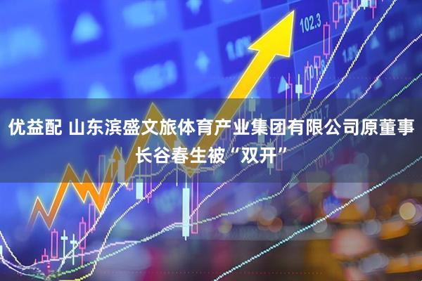 优益配 山东滨盛文旅体育产业集团有限公司原董事长谷春生被“双开”