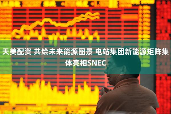 天美配资 共绘未来能源图景 电站集团新能源矩阵集体亮相SNEC